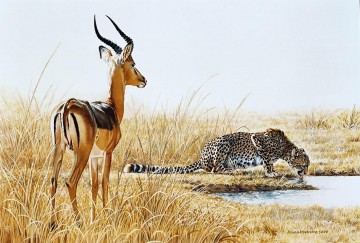 鹿 Painting - チーターとインパラの羊